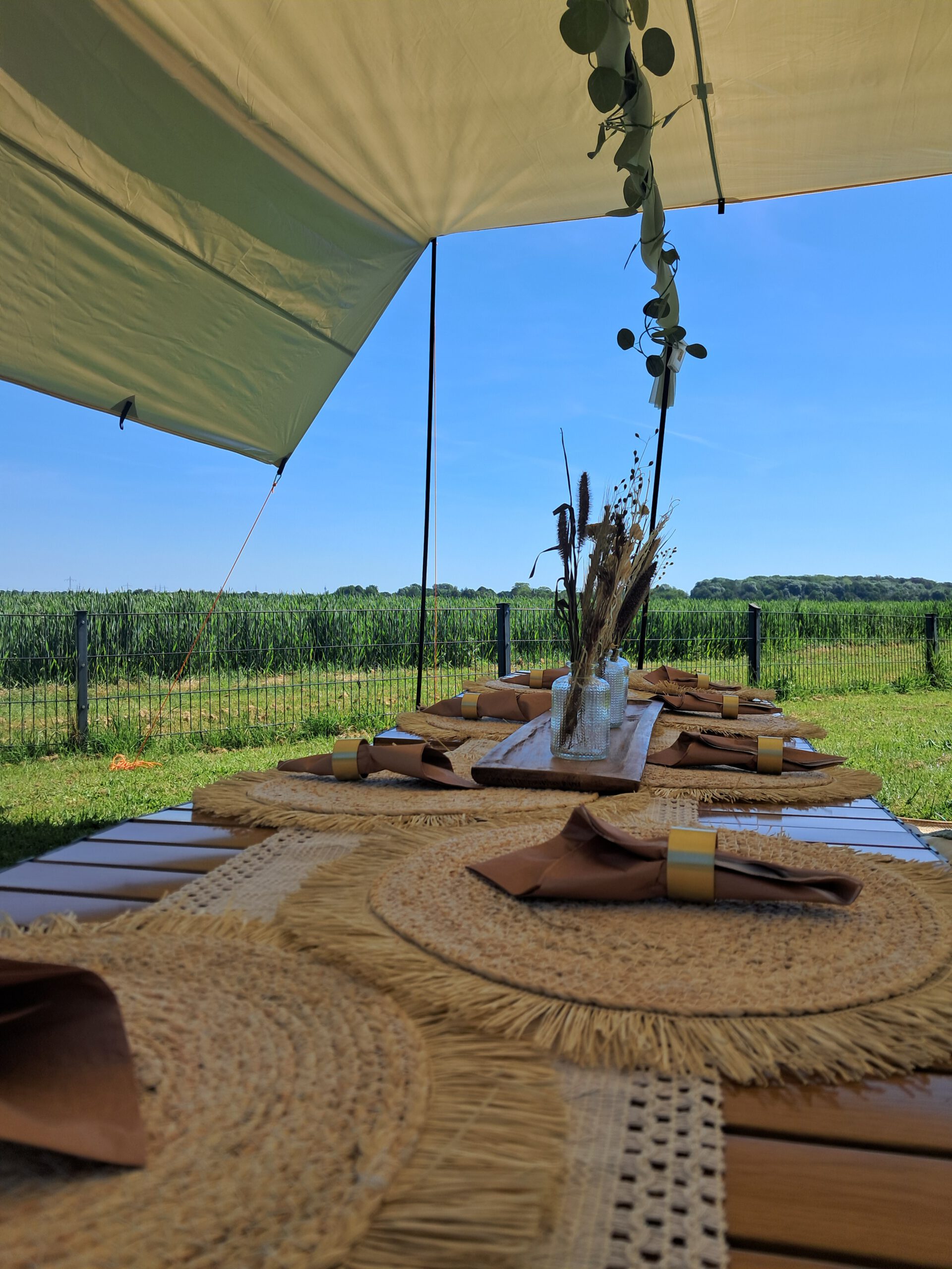 Boho-Picknick unter freiem Himmel – Bild 4