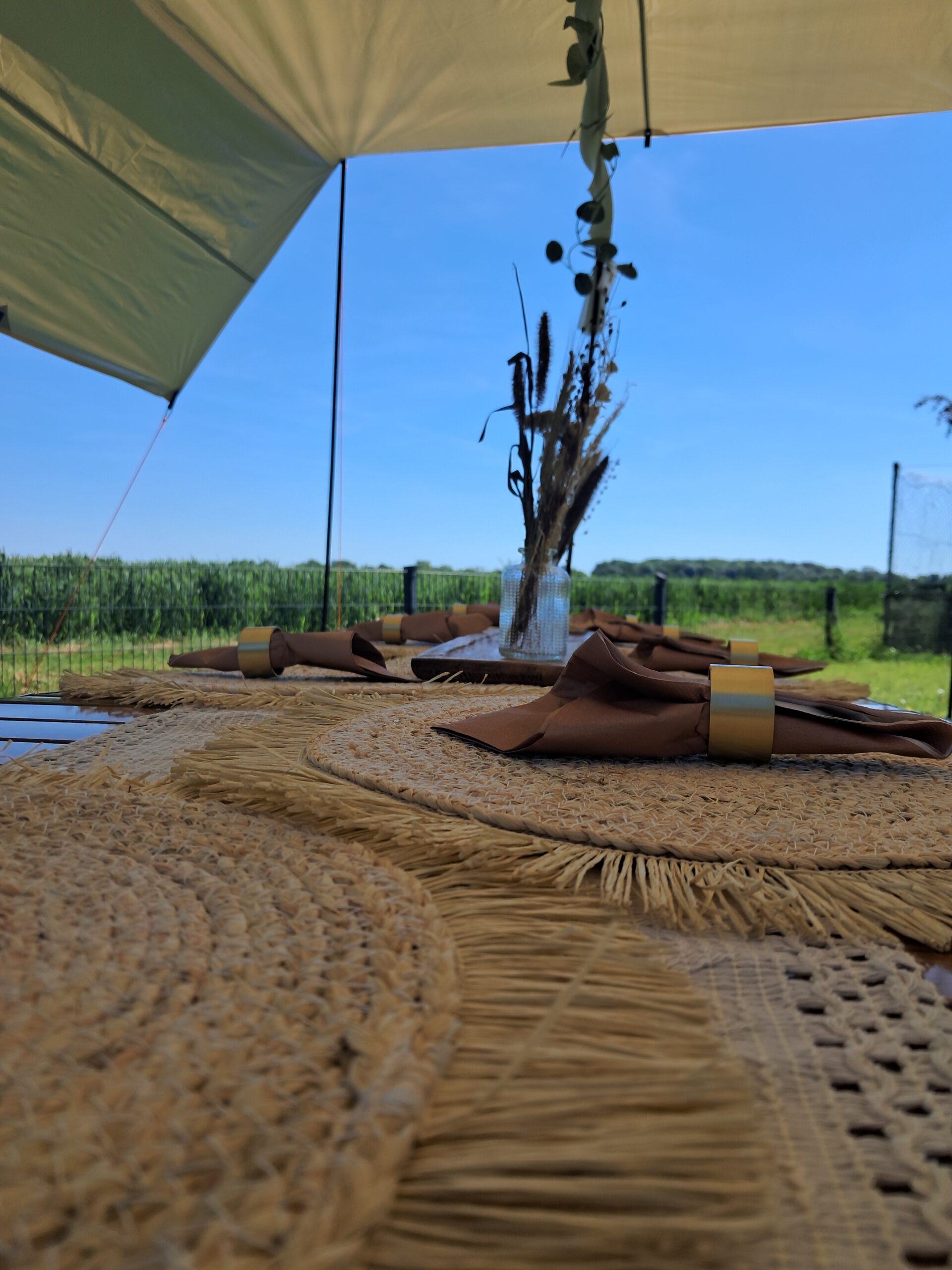 Boho-Picknick unter freiem Himmel – Bild 7